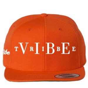 Vibe Tribe Collection Snapback Hats in a variety of colors - Image 4